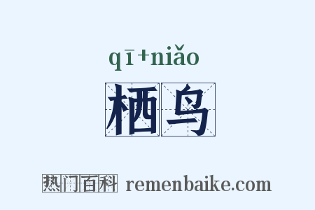 栖鸟是什么意思的图片